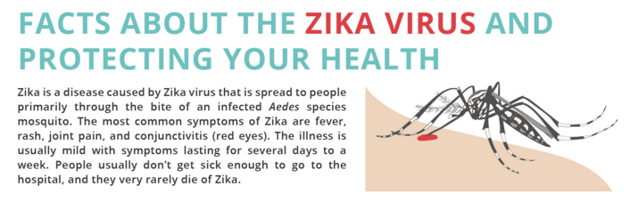 Facts About Zika Infographic Preview