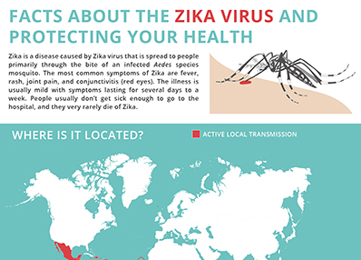 Facts About Zika Virus Infographic Online MPH Today